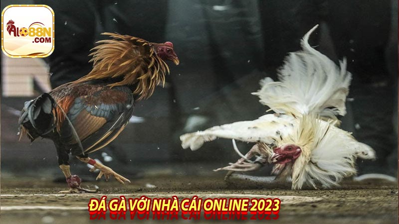 Đá gà với nhà cái online 2023
